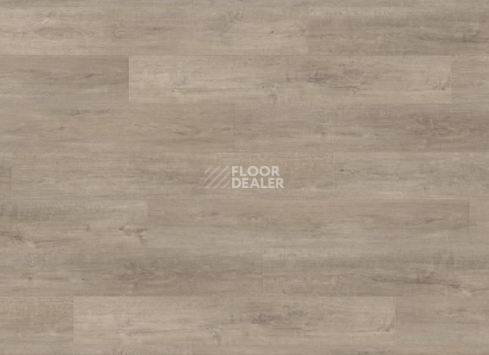 Ламинат Haro Tritty 90 ДУБ ЛИВОРНО ГРЕЙДЖ 538652 фото 1 | FLOORDEALER